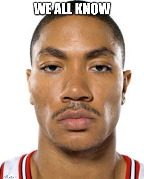 Derrick Rose Straight Face | WE ALL KNOW | image tagged in derrick rose straight face | made w/ Imgflip meme maker