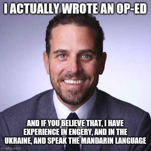 Kamala Harris Just Warned You about AI | I ACTUALLY WROTE AN OP-ED; AND IF YOU BELIEVE THAT, I HAVE EXPERIENCE IN ENGERY, AND IN THE UKRAINE, AND SPEAK THE MANDARIN LANGUAGE | image tagged in hunter biden,tossed salad,literally | made w/ Imgflip meme maker