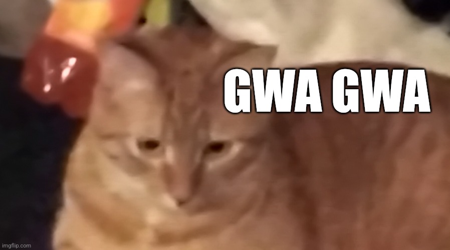 GWA GWA | GWA GWA | made w/ Imgflip meme maker