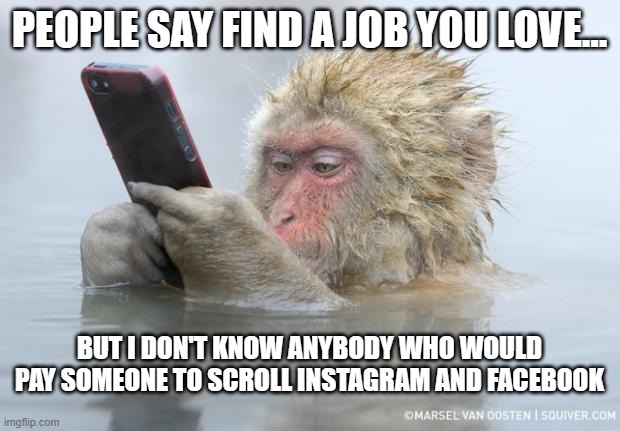 monkey mobile phone | PEOPLE SAY FIND A JOB YOU LOVE... BUT I DON'T KNOW ANYBODY WHO WOULD PAY SOMEONE TO SCROLL INSTAGRAM AND FACEBOOK | image tagged in monkey mobile phone | made w/ Imgflip meme maker