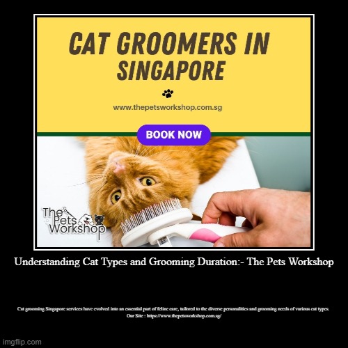 Understanding Cat Types and Grooming Duration:- The Pets Workshop | Cat grooming Singapore services have evolved into an essential part of f | image tagged in funny,demotivationals | made w/ Imgflip demotivational maker