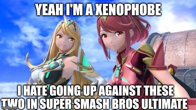 Xenophobia | YEAH I'M A XENOPHOBE; I HATE GOING UP AGAINST THESE TWO IN SUPER SMASH BROS ULTIMATE | image tagged in super smash bros,funny,meme | made w/ Imgflip meme maker