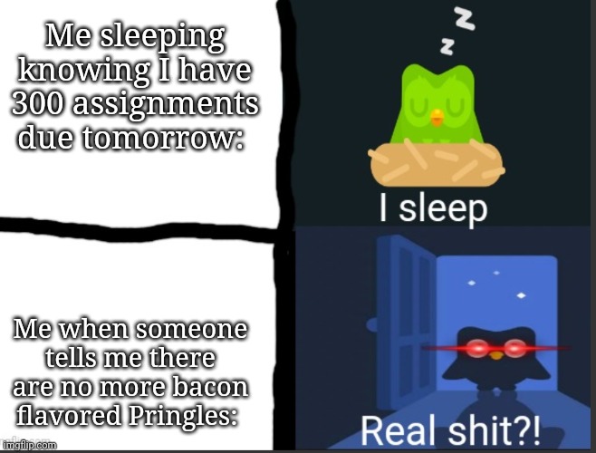 So true | Me sleeping knowing I have 300 assignments due tomorrow:; Me when someone tells me there are no more bacon flavored Pringles: | image tagged in i sleep real shit duolingo version,pringles,noooooooooooooooooooooooo,relatable memes,funny | made w/ Imgflip meme maker