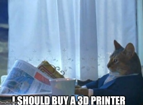 I Should Buy A Boat Cat Meme | I SHOULD BUY A 3D PRINTER | image tagged in memes,i should buy a boat cat,AdviceAnimals | made w/ Imgflip meme maker