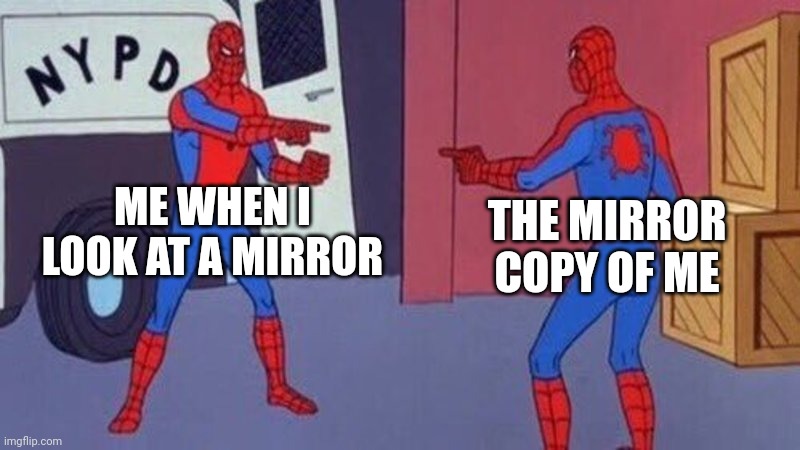 spiderman pointing at spiderman | ME WHEN I LOOK AT A MIRROR; THE MIRROR COPY OF ME | image tagged in spiderman pointing at spiderman | made w/ Imgflip meme maker