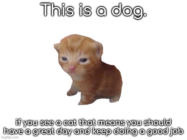 This is a dog. if you see a cat that means you should have a great day and keep doing a good job | made w/ Imgflip meme maker