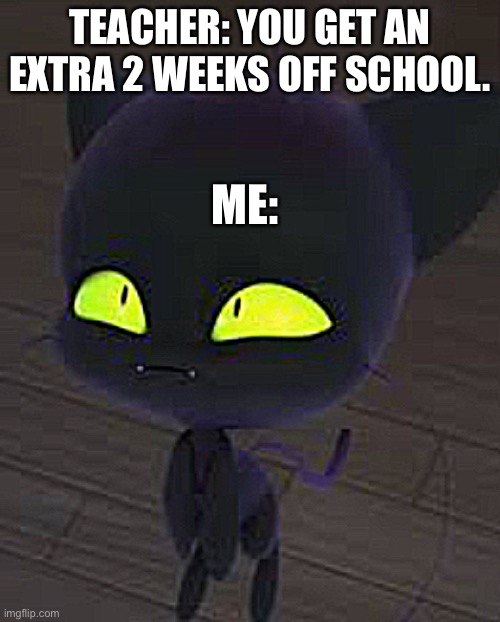 TEACHER: YOU GET AN EXTRA 2 WEEKS OFF SCHOOL. ME: | image tagged in funny | made w/ Imgflip meme maker