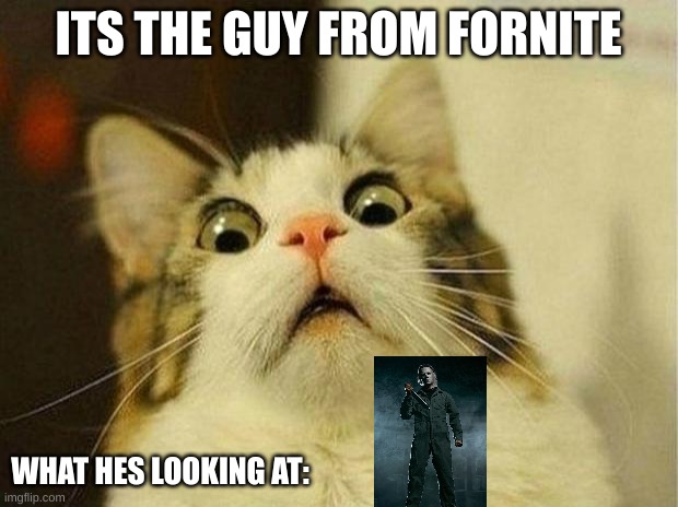 Scared Cat | ITS THE GUY FROM FORNITE; WHAT HES LOOKING AT: | image tagged in memes,scared cat,funny | made w/ Imgflip meme maker