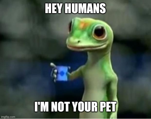 Geico Gecko | HEY HUMANS; I'M NOT YOUR PET | image tagged in memes,gecko,pets | made w/ Imgflip meme maker