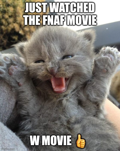 I likes the movie (may not be lore accurate) but still | JUST WATCHED THE FNAF MOVIE; W MOVIE 👍 | image tagged in yay kitty | made w/ Imgflip meme maker
