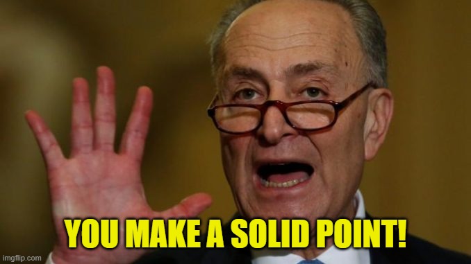 Chuck Schumer | YOU MAKE A SOLID POINT! | image tagged in chuck schumer | made w/ Imgflip meme maker