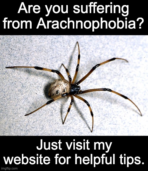 Spiders | Are you suffering from Arachnophobia? Just visit my website for helpful tips. | image tagged in dad joke | made w/ Imgflip meme maker