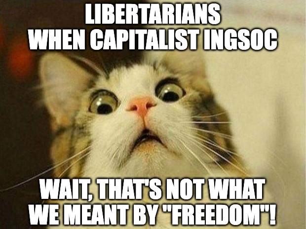 BIG ELON IS WATCHING YOU | LIBERTARIANS WHEN CAPITALIST INGSOC; WAIT, THAT'S NOT WHAT WE MEANT BY "FREEDOM"! | image tagged in memes,scared cat,1984,ingsoc,cat,libertarians | made w/ Imgflip meme maker