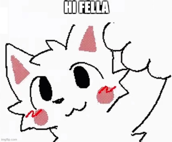 hi fellas | HI FELLA | image tagged in cat | made w/ Imgflip meme maker