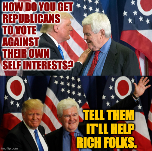 Birds of a feather plot together. | HOW DO YOU GET
REPUBLICANS
TO VOTE
AGAINST
THEIR OWN
SELF INTERESTS? TELL THEM 
IT'LL HELP 
RICH FOLKS. | image tagged in memes,trump,newt gingrich,republicans | made w/ Imgflip meme maker