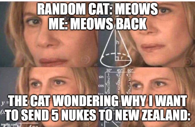 When a cat meows, so you meow back | RANDOM CAT: MEOWS
ME: MEOWS BACK; THE CAT WONDERING WHY I WANT TO SEND 5 NUKES TO NEW ZEALAND: | image tagged in math lady/confused lady,cat,nuke,new zealand | made w/ Imgflip meme maker