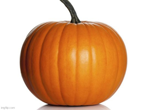 pumpkin | image tagged in pumpkin | made w/ Imgflip meme maker