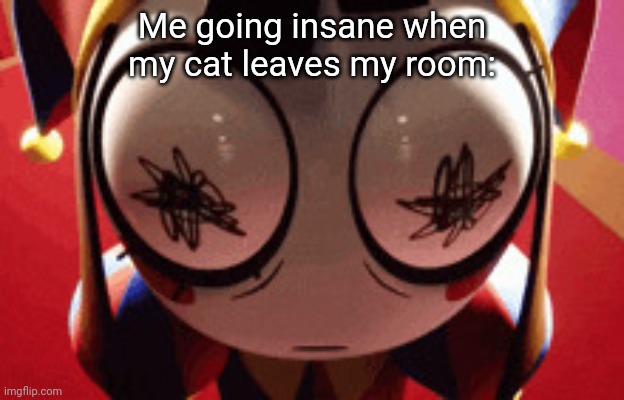 w h a t | Me going insane when my cat leaves my room: | image tagged in w h a t,circus,the amazing digital circus | made w/ Imgflip meme maker