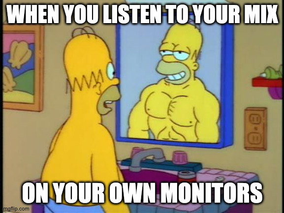 All you need is ears | WHEN YOU LISTEN TO YOUR MIX; ON YOUR OWN MONITORS | image tagged in homer and the mirror | made w/ Imgflip meme maker