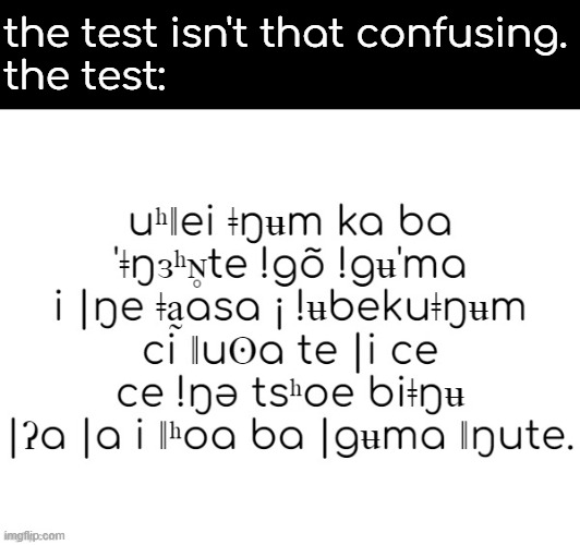 i do not know that goofy afrikan langage | the test isn't that confusing.
the test: | made w/ Imgflip meme maker