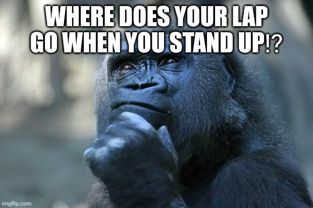 Deep Thoughts | WHERE DOES YOUR LAP GO WHEN YOU STAND UP⁉️ | image tagged in deep thoughts | made w/ Imgflip meme maker