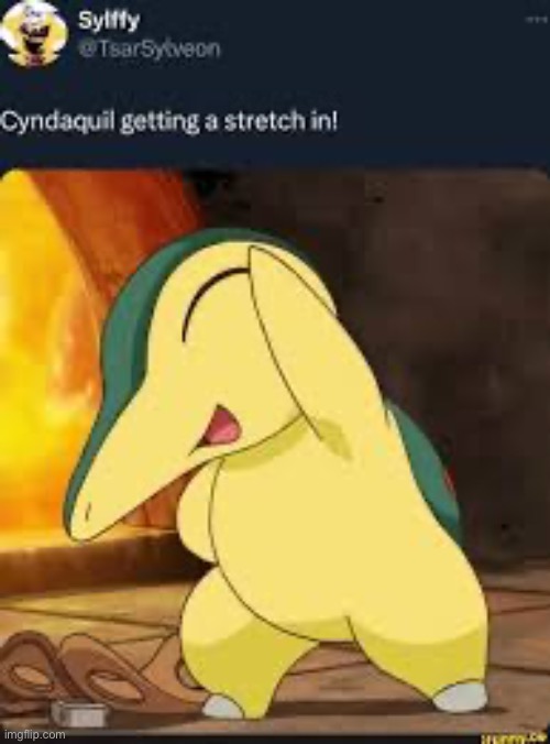 Cyndaquill | image tagged in cyndaquill | made w/ Imgflip meme maker