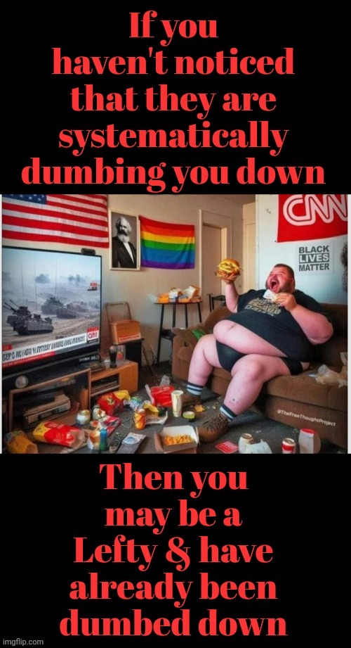 Systematically Dumbing You Down | image tagged in systematically dumbing you down | made w/ Imgflip meme maker