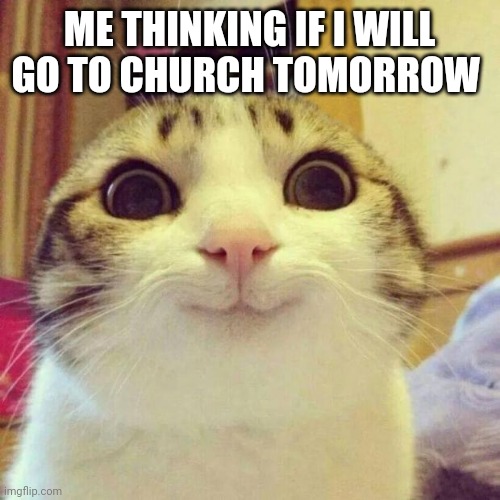 Smiling Cat | ME THINKING IF I WILL GO TO CHURCH TOMORROW | image tagged in memes,smiling cat | made w/ Imgflip meme maker