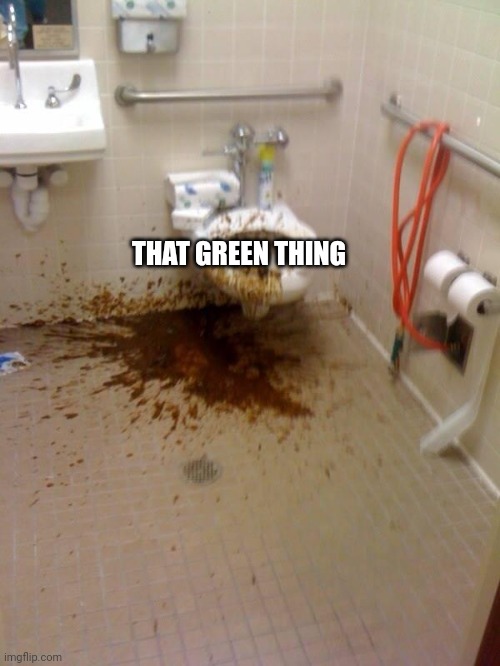 Girls poop too | THAT GREEN THING | image tagged in girls poop too | made w/ Imgflip meme maker