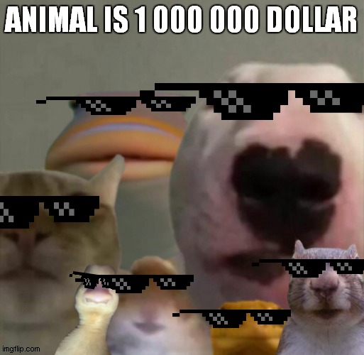 animal is 1 000 000 $ | ANIMAL IS 1 000 000 DOLLAR | image tagged in the council remastered | made w/ Imgflip meme maker