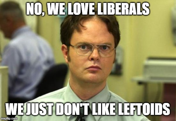 Dwight Schrute Meme | NO, WE LOVE LIBERALS WE JUST DON'T LIKE LEFTOIDS | image tagged in memes,dwight schrute | made w/ Imgflip meme maker