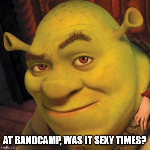 Shrek Sexy Face | AT BANDCAMP, WAS IT SEXY TIMES? | image tagged in shrek sexy face | made w/ Imgflip meme maker
