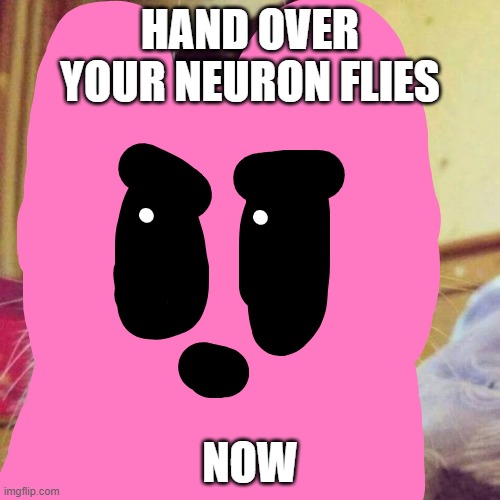 Nueron flies | HAND OVER YOUR NEURON FLIES; NOW | image tagged in rain world,slugcat,hunter,neuron fly | made w/ Imgflip meme maker
