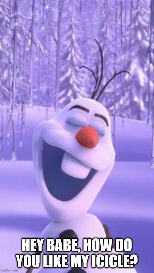 Frozen snowman gay | HEY BABE, HOW DO YOU LIKE MY ICICLE? | image tagged in frozen snowman gay | made w/ Imgflip meme maker