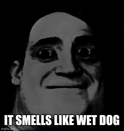 Mr.Incredible: I have your ip! | IT SMELLS LIKE WET DOG | image tagged in mr incredible i have your ip | made w/ Imgflip meme maker