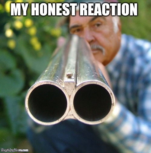 Connery Shotgun | MY HONEST REACTION | image tagged in connery shotgun | made w/ Imgflip meme maker