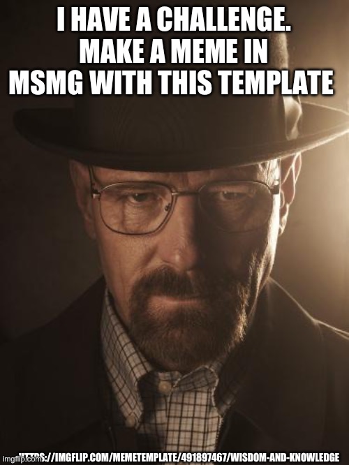 https://imgflip.com/memetemplate/491897467/Wisdom-and-knowledge | I HAVE A CHALLENGE. MAKE A MEME IN MSMG WITH THIS TEMPLATE; HTTPS://IMGFLIP.COM/MEMETEMPLATE/491897467/WISDOM-AND-KNOWLEDGE | image tagged in walter white | made w/ Imgflip meme maker