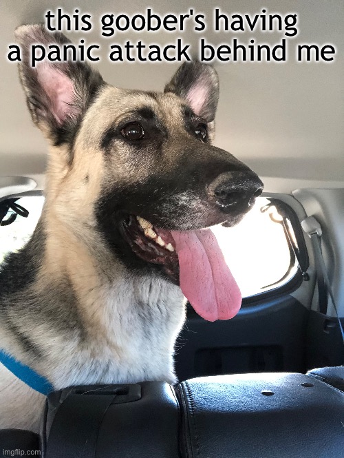 this goober's having a panic attack behind me | made w/ Imgflip meme maker