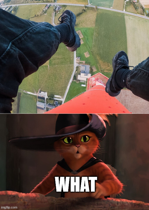 Puss in Boots meme | WHAT | image tagged in climber,lattice climbing,puss in boots,klettern,gato | made w/ Imgflip meme maker
