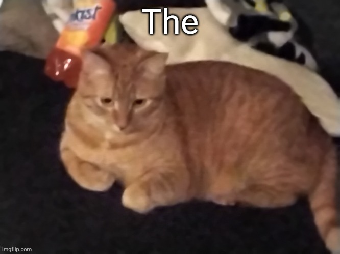 The | The | made w/ Imgflip meme maker