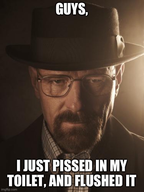 Walter White | GUYS, I JUST PISSED IN MY TOILET, AND FLUSHED IT | image tagged in walter white | made w/ Imgflip meme maker