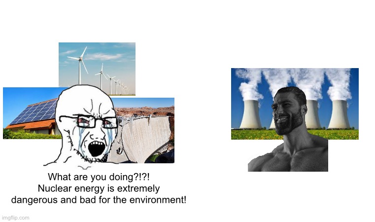 real | What are you doing?!?! Nuclear energy is extremely dangerous and bad for the environment! | image tagged in blank white template | made w/ Imgflip meme maker