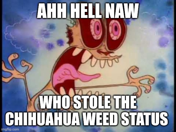 Ahh hell naww #1 shitpost | AHH HELL NAW; WHO STOLE THE CHIHUAHUA WEED STATUS | image tagged in ren and stimpy,memes,dark humor,funny,goofy ahh | made w/ Imgflip meme maker