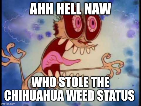 goofy ahh memes : r/HolUp