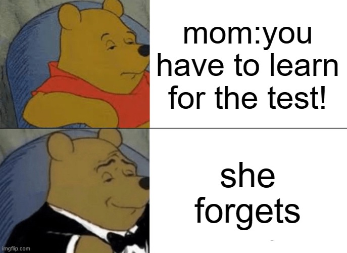 winnie the pooh tuxedo meme | mom:you have to learn for the test! she forgets | image tagged in memes,tuxedo winnie the pooh | made w/ Imgflip meme maker