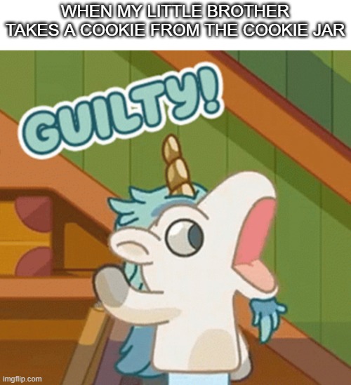 Naw he took the whole jar | WHEN MY LITTLE BROTHER TAKES A COOKIE FROM THE COOKIE JAR | image tagged in unicorse guilty,bluey,memes,funny memes,little brother,cookies | made w/ Imgflip meme maker