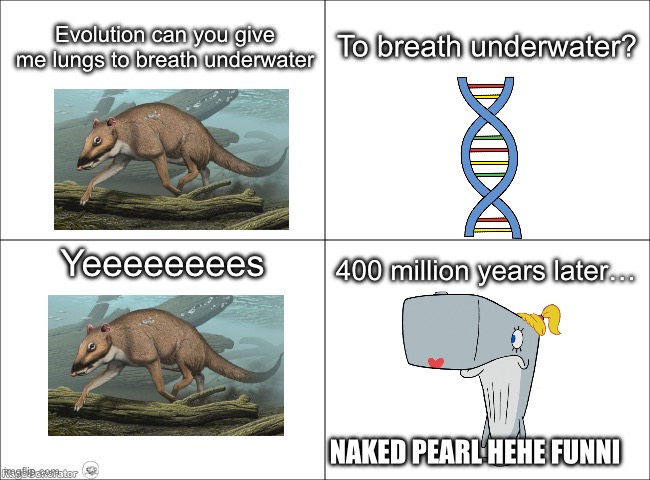 This is a certified Naked Pearl moment | Evolution can you give me lungs to breath underwater; To breath underwater? Yeeeeeeees; 400 million years later…; NAKED PEARL HEHE FUNNI | image tagged in naked pearl | made w/ Imgflip meme maker