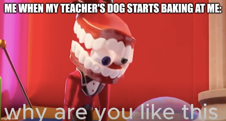 POV: me at my teacher's house then her dog starts barking at me | ME WHEN MY TEACHER'S DOG STARTS BAKING AT ME: | image tagged in caine why are you like this | made w/ Imgflip meme maker