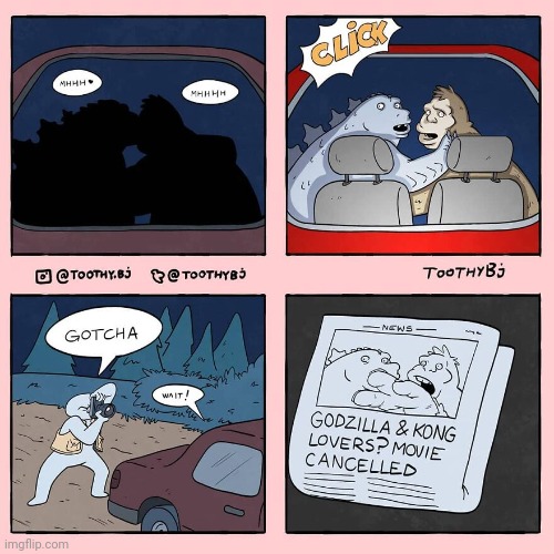 Godzilla and Kong | image tagged in godzilla,kong,lover,movies,comics,comics/cartoons | made w/ Imgflip meme maker