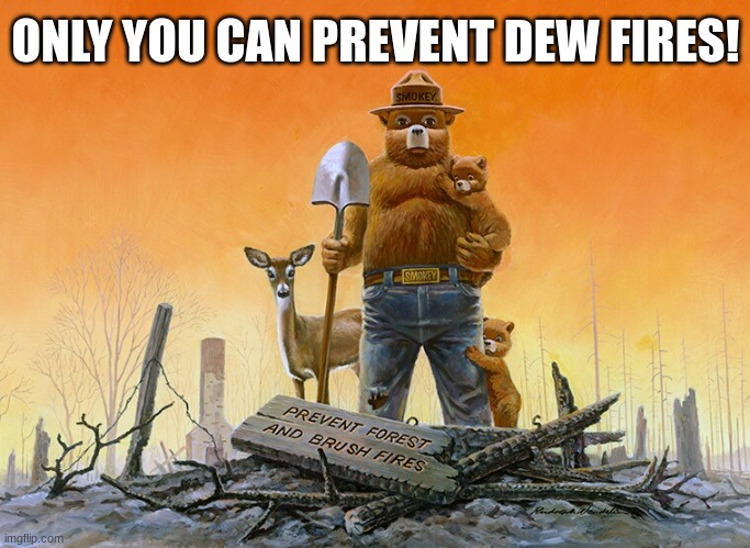 DEW world order! | ONLY YOU CAN PREVENT DEW FIRES! | image tagged in smokey the bear | made w/ Imgflip meme maker